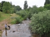 Les bords de la Galaure