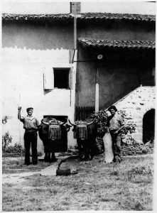 Maison VÉRICEL - 2 cultivateurs et 2 bœufs