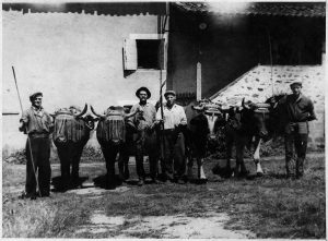 Maison VÉRICEL - 4 cultivateurs et 4 bœufs