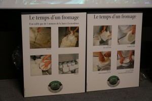 042 - La Maison du Fromage  (6)