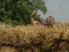 dsc06293-rl2