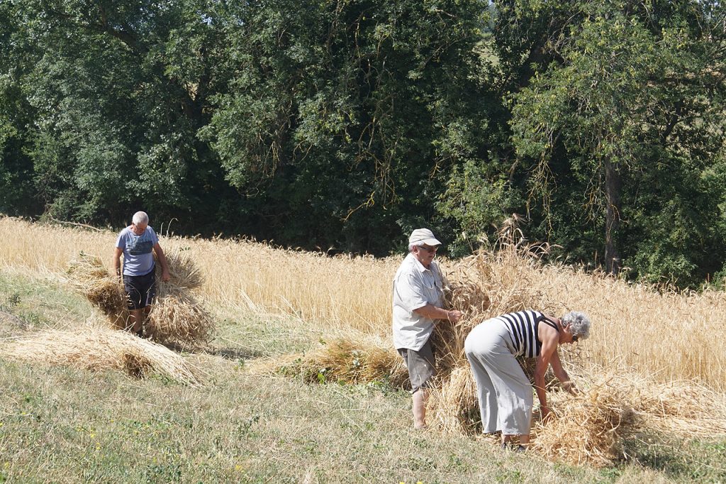 Moisson