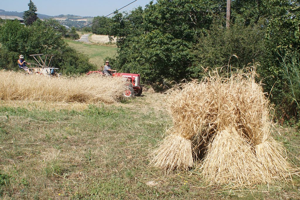Moisson
