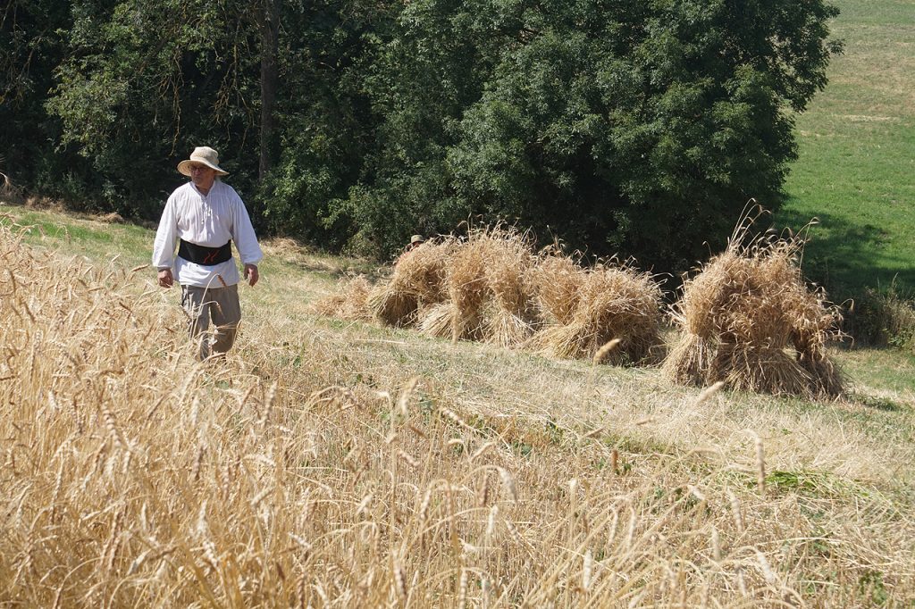 Moisson