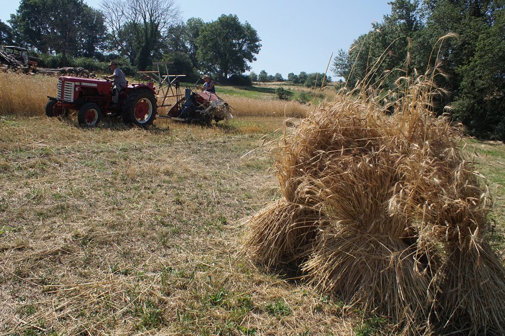Moisson