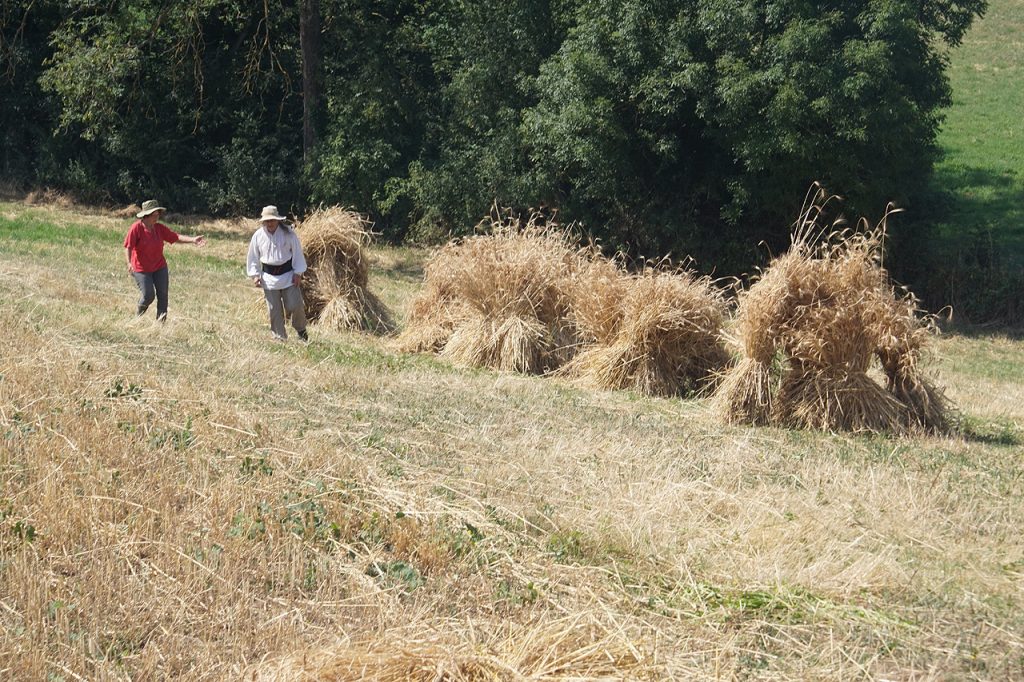 Moisson