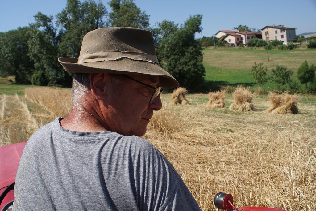 Moisson