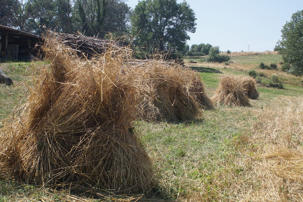 Moisson