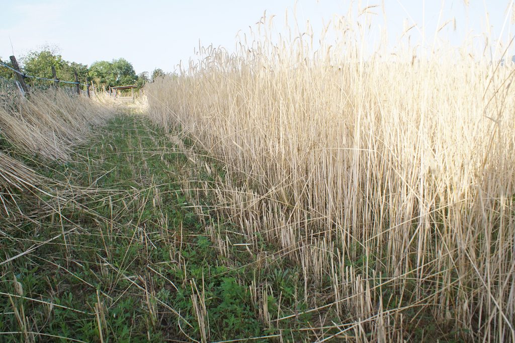 Moisson