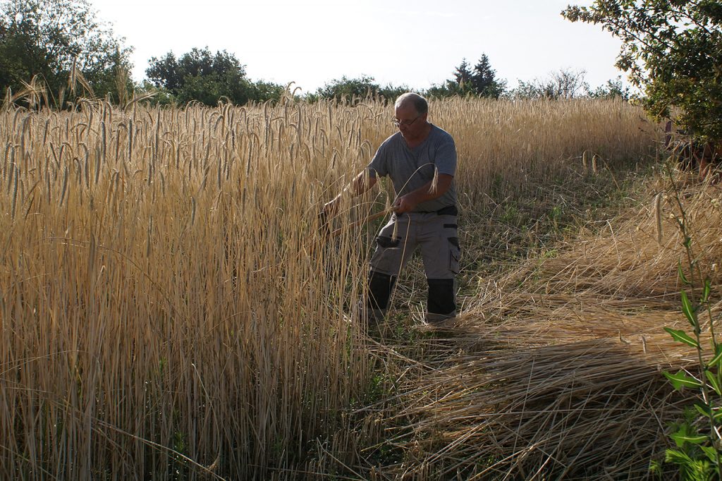 Moisson