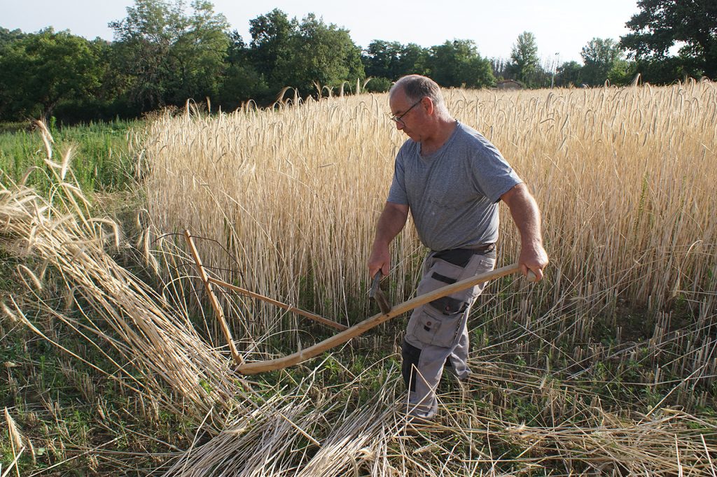 Moisson