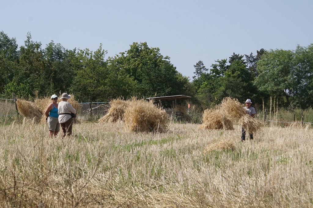 Moisson