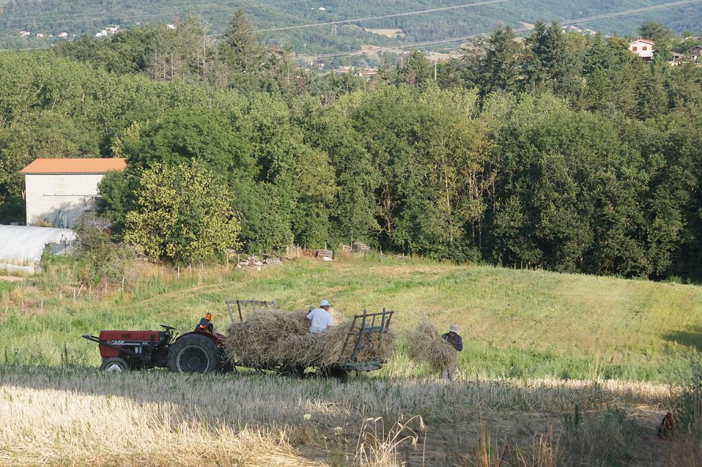 Moisson