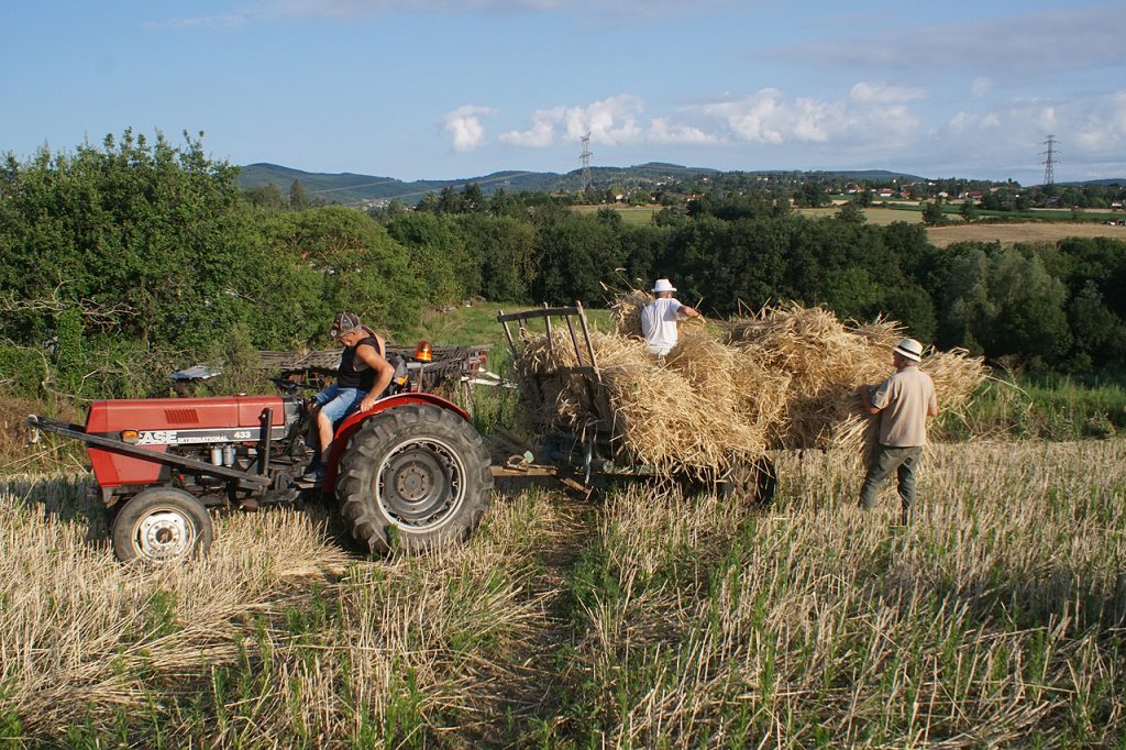 Moisson