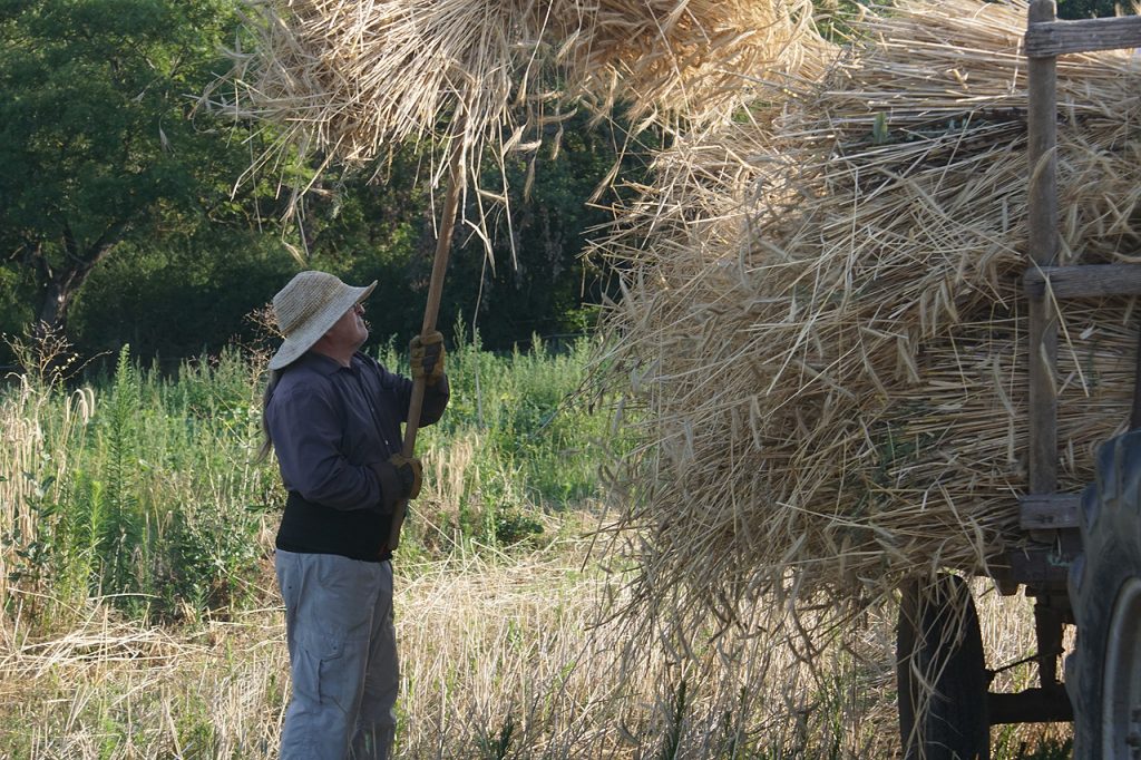 Moisson