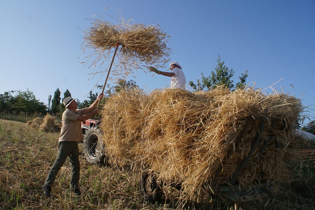 Moisson