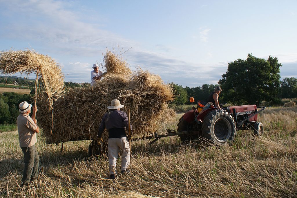 Moisson