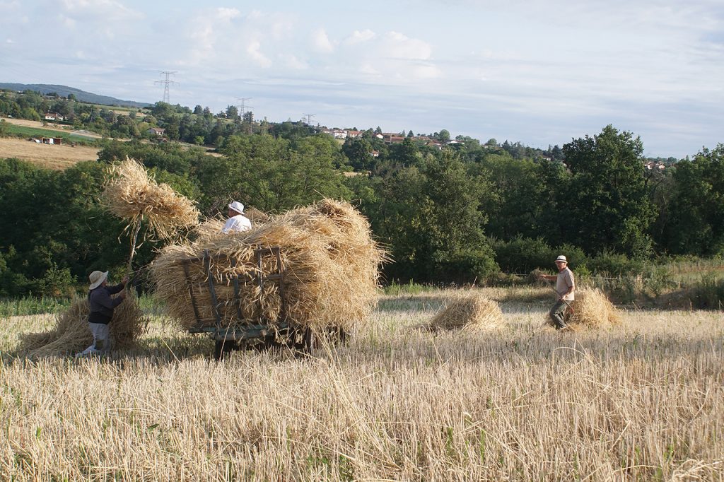 Moisson
