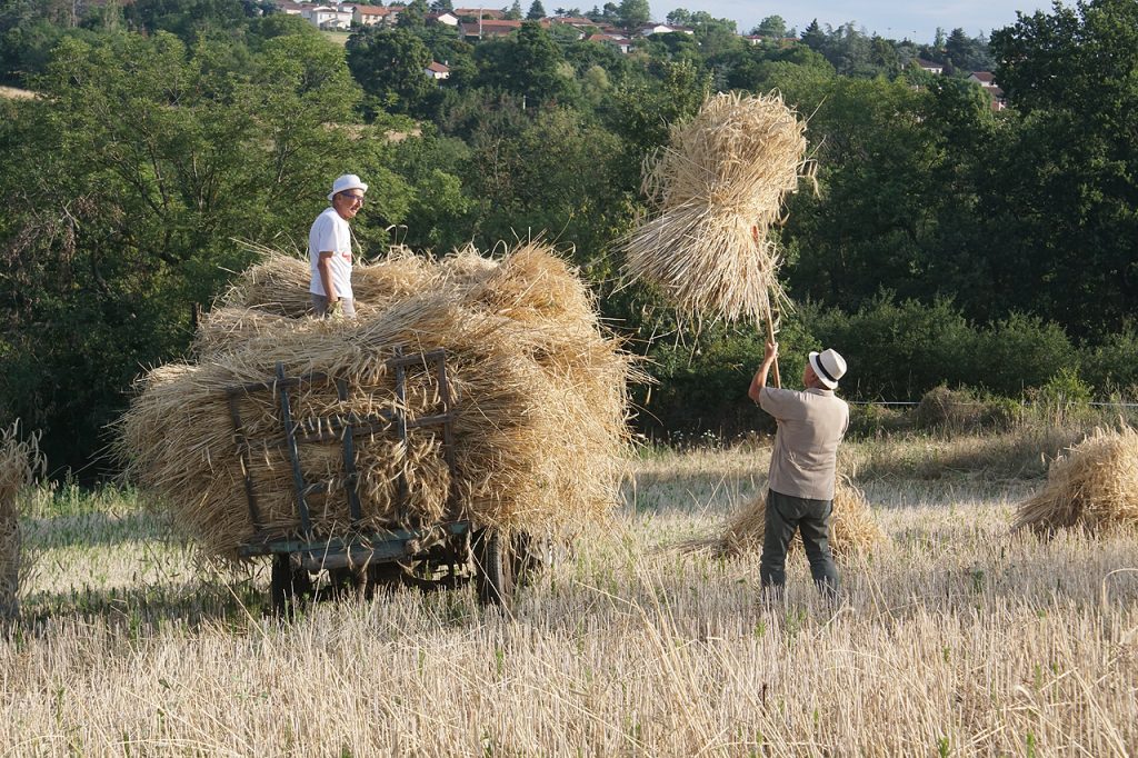 Moisson