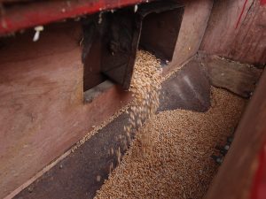 Batteuse Grain