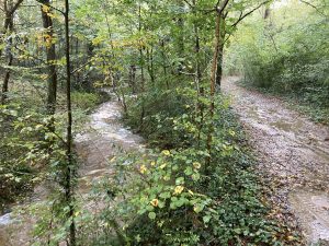 Inondations - Le Chêne - 18/10/2024 © Marie-Agnès Voisin