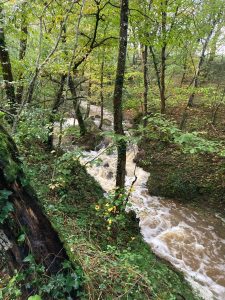 Inondations - Le Chêne - 18/10/2024 © Marie-Agnès Voisin