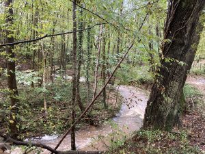 Inondations - Le Chêne - 18/10/2024 © Marie-Agnès Voisin