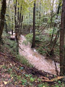 Inondations - Le Chêne - 18/10/2024 © Marie-Agnès Voisin
