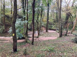 Inondations - Le Chêne - 18/10/2024 © Marie-Agnès Voisin