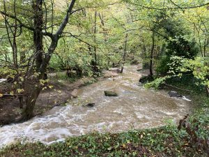 Inondations - Le Chêne et le Bouleau - 18/10/2024 © Marie-Agnès Voisin