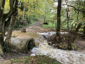 Inondations - Le Chêne et le Bouleau - 18/10/2024 © Marie-Agnès Voisin