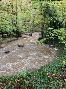 Inondations - Le Chêne et le Bouleau - 18/10/2024 © Marie-Agnès Voisin