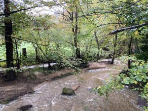 Inondations - Le Chêne et le Bouleau - 18/10/2024 © Marie-Agnès Voisin