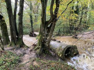 Inondations - Le Chêne et le Bouleau - 18/10/2024 © Marie-Agnès Voisin