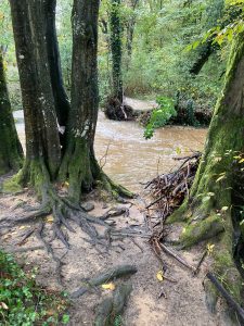 Inondations - Le Chêne et le Bouleau - 18/10/2024 © Marie-Agnès Voisin