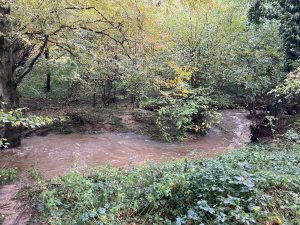 Inondations - Le Chêne et le Bouleau - 18/10/2024 © Marie-Agnès Voisin