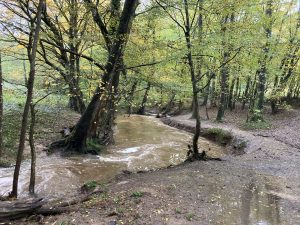 Inondations - Le Chêne et le Bouleau - 18/10/2024 © Marie-Agnès Voisin