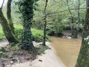Inondations - La Grande Levée - 18/10/2024 © Marie-Agnès Voisin