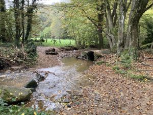 Inondations - Le Chêne et le Bouleau - 22/10/2024 © Marie-Agnès Voisin