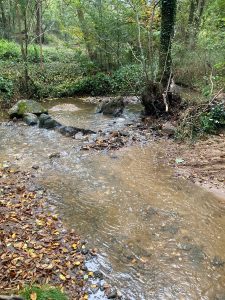 Inondations - Le Chêne et le Bouleau - 22/10/2024 © Marie-Agnès Voisin