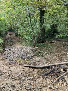 Inondations - Le Chêne et le Bouleau - 22/10/2024 © Marie-Agnès Voisin