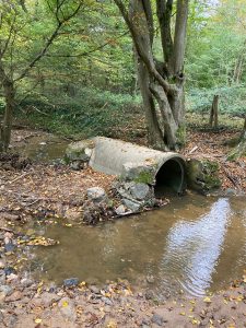 Inondations - Le Chêne et le Bouleau - 22/10/2024 © Marie-Agnès Voisin