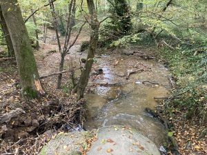 Inondations - Le Chêne et le Bouleau - 22/10/2024 © Marie-Agnès Voisin