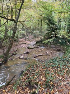 Inondations - Le Chêne et le Bouleau - 22/10/2024 © Marie-Agnès Voisin