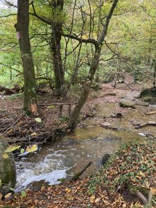 Inondations - Le Chêne et le Bouleau - 22/10/2024 © Marie-Agnès Voisin