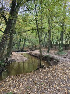 Inondations - Le Chêne et le Bouleau - 22/10/2024 © Marie-Agnès Voisin