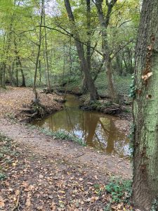 Inondations - Le Chêne et le Bouleau - 22/10/2024 © Marie-Agnès Voisin