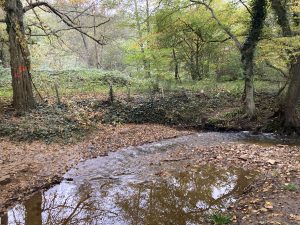 Inondations - Le Chêne et le Bouleau - 22/10/2024 © Marie-Agnès Voisin