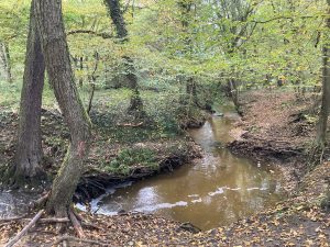 Inondations - Le Chêne et le Bouleau - 22/10/2024 © Marie-Agnès Voisin