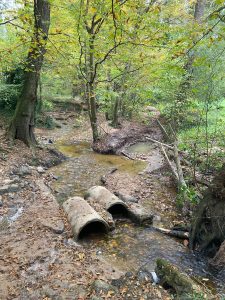 Inondations - Le Chêne et le Bouleau - 22/10/2024 © Marie-Agnès Voisin